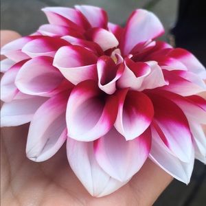 Meet your Posher, Stacy